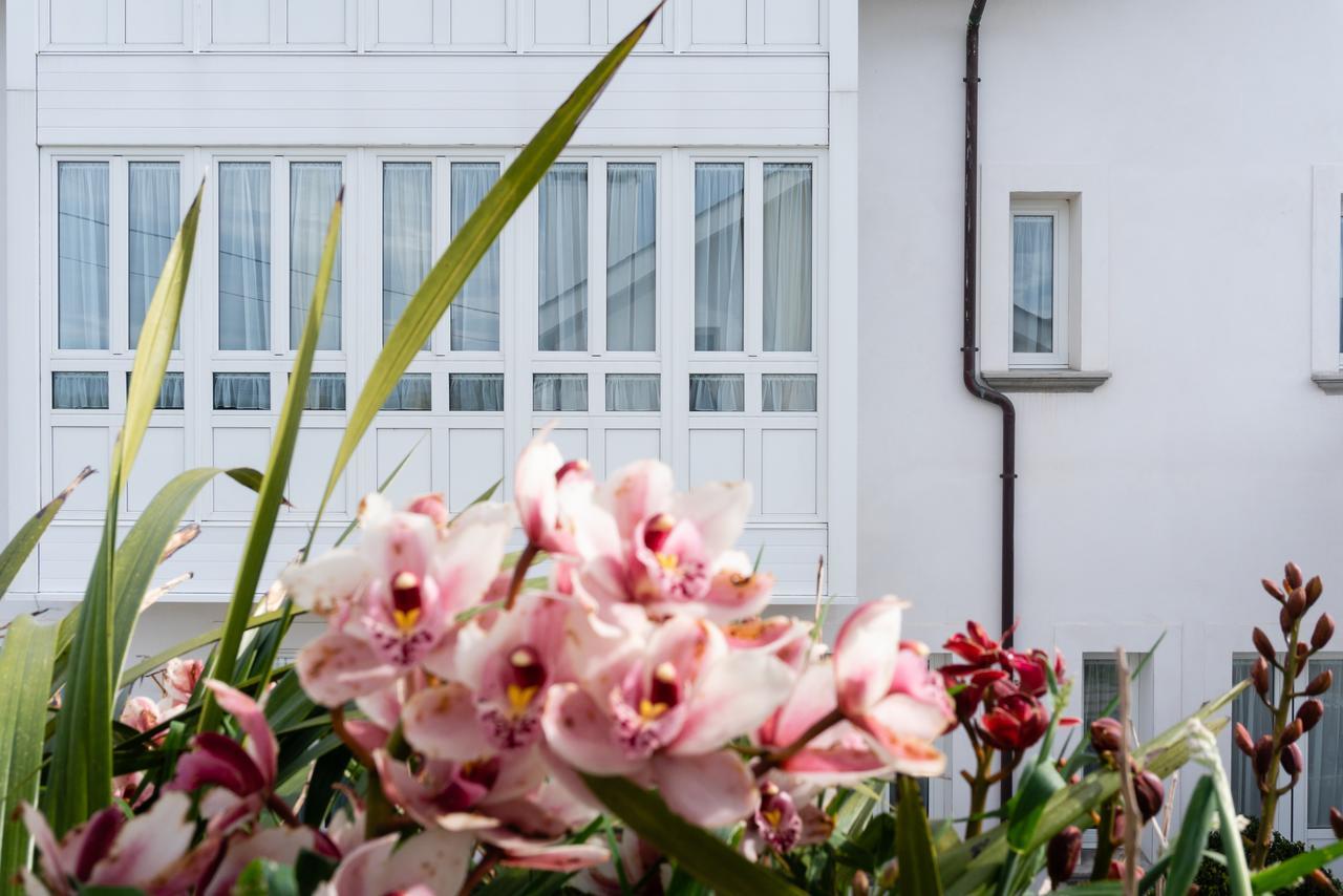 La Casa De Las Camelias Busto ภายนอก รูปภาพ